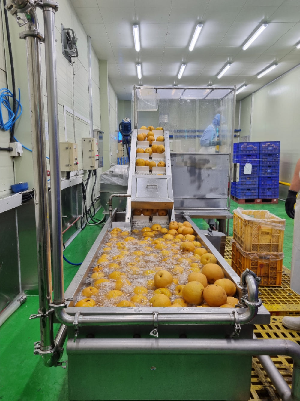 Automated fruit sorting system in a warehouse setting